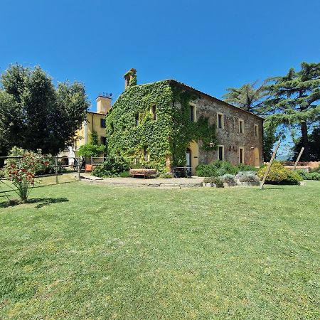 Agriturismo Bio Fattoria Di Pietra Giuncarico Exterior foto